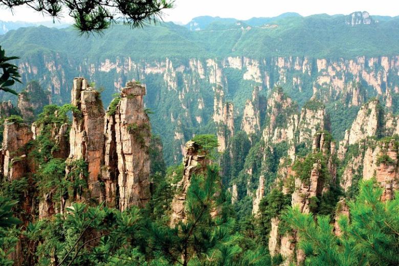 Công viên rừng quốc gia Trương Gia Giới