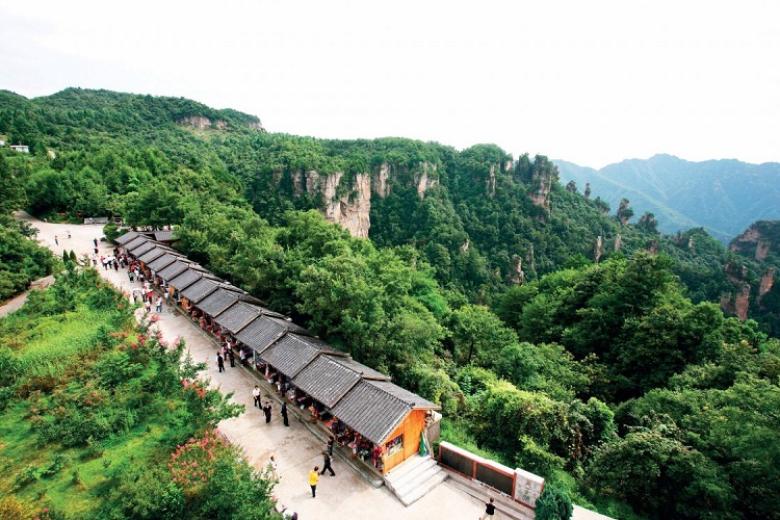 Công viên rừng quốc gia Trương Gia Giới