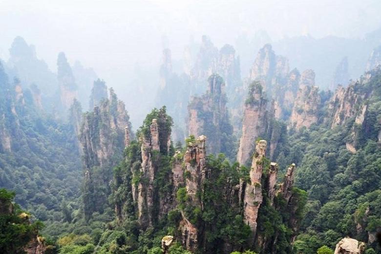 Công viên rừng quốc gia Trương Gia Giới