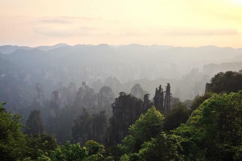 Công viên rừng quốc gia Trương Gia Giới