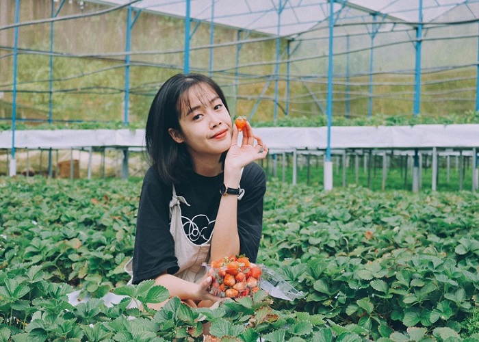 Khách trải nghiệm