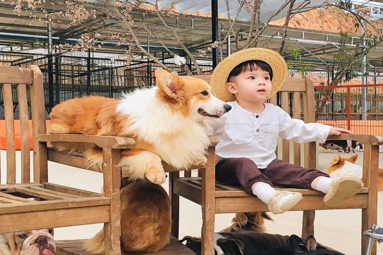 Nông Trại Puppy Farm