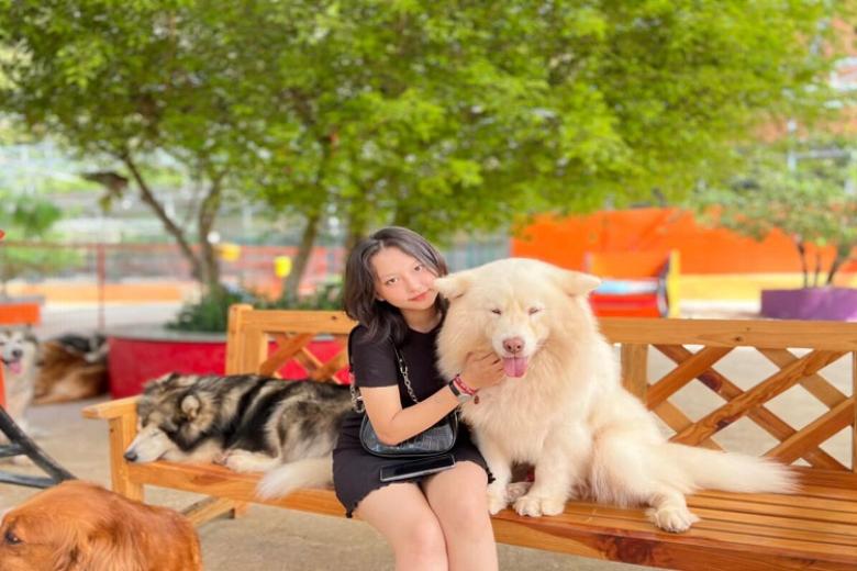 Nông Trại Puppy Farm