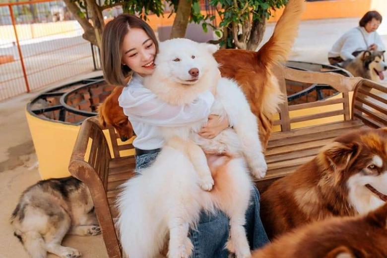 Nông Trại Puppy Farm