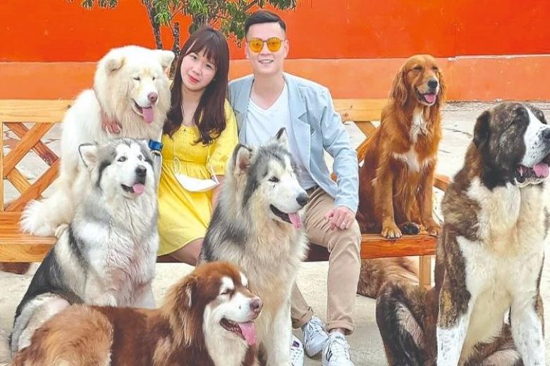 Nông Trại Puppy Farm