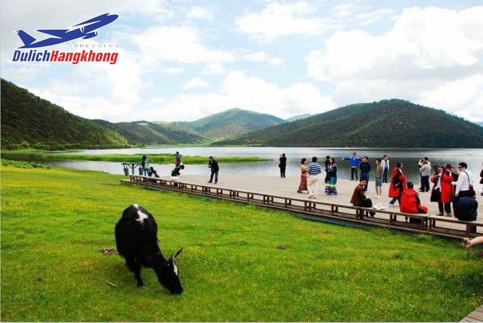 Vui chơi, tham quan