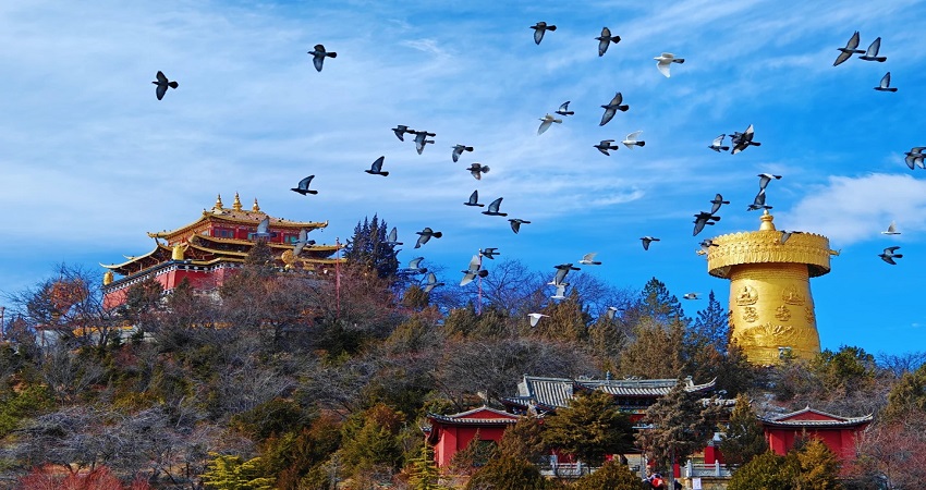 Thành cổ DuKeZong (Thành cổ Ánh Trăng)