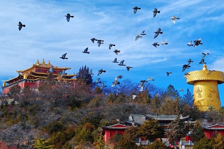 Thành cổ DuKeZong