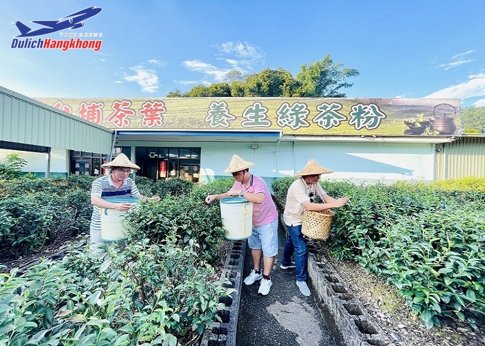 Khách trải nghiệm