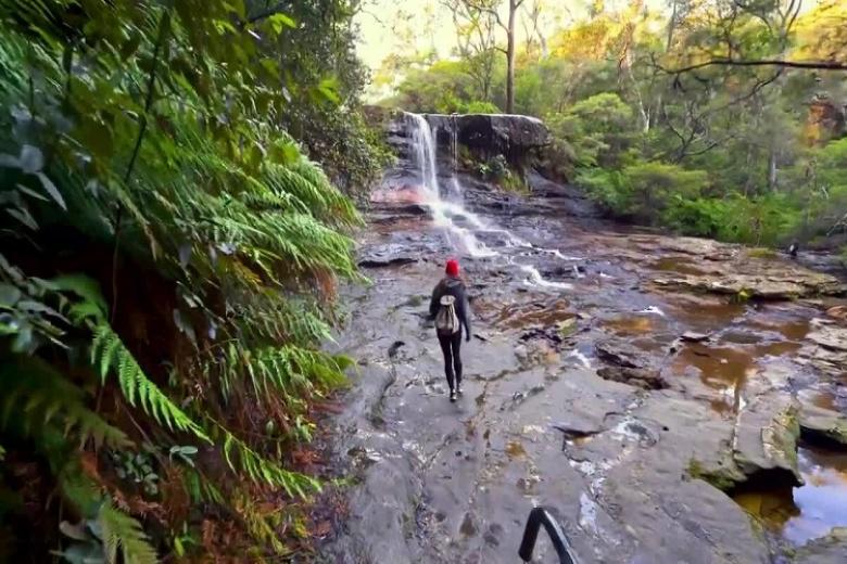 Khu bảo tồn thiên nhiên Blue Mountain