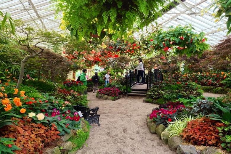 Vườn thực vật Fitzroy