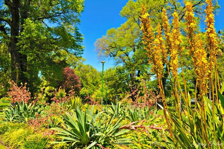 Vườn thực vật Fitzroy