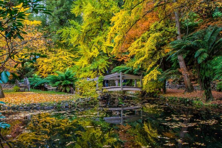 Vườn thực vật Fitzroy